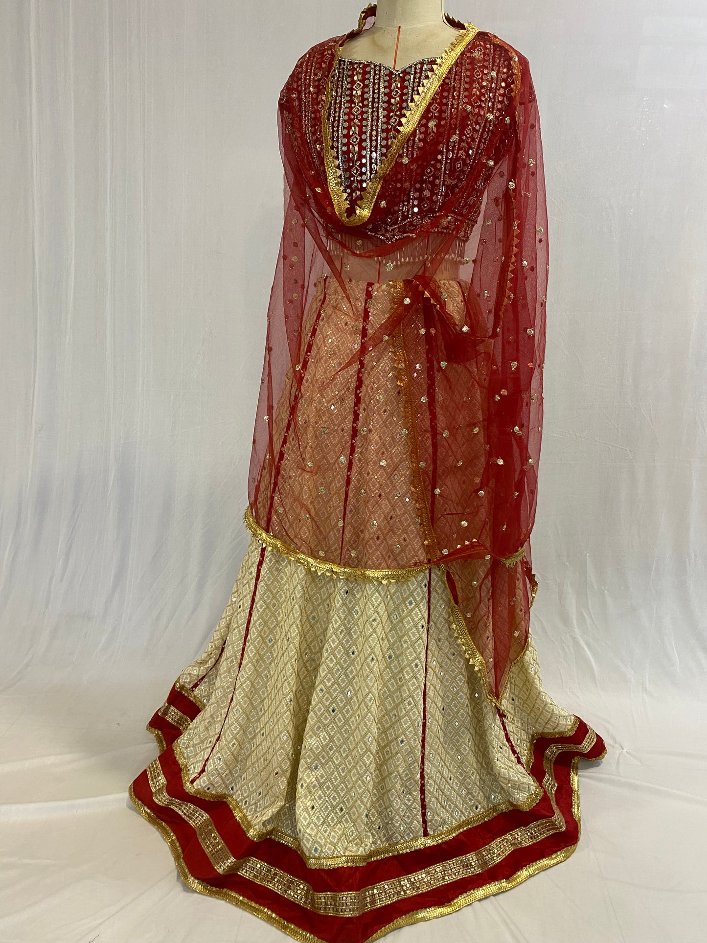 Party Wear Ghaghra Choli