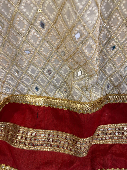 Party Wear Ghaghra Choli