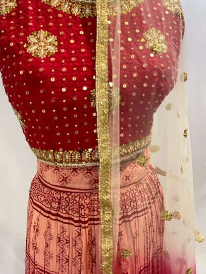 Party Wear Ghaghra Choli