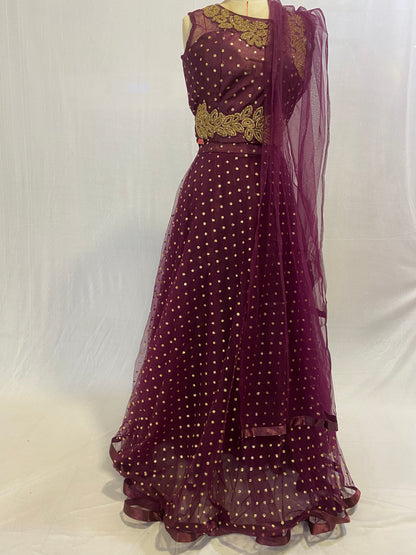 Party Wear Ghaghra Choli