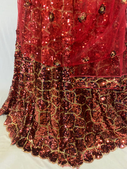 Party Wear Ghaghra Choli