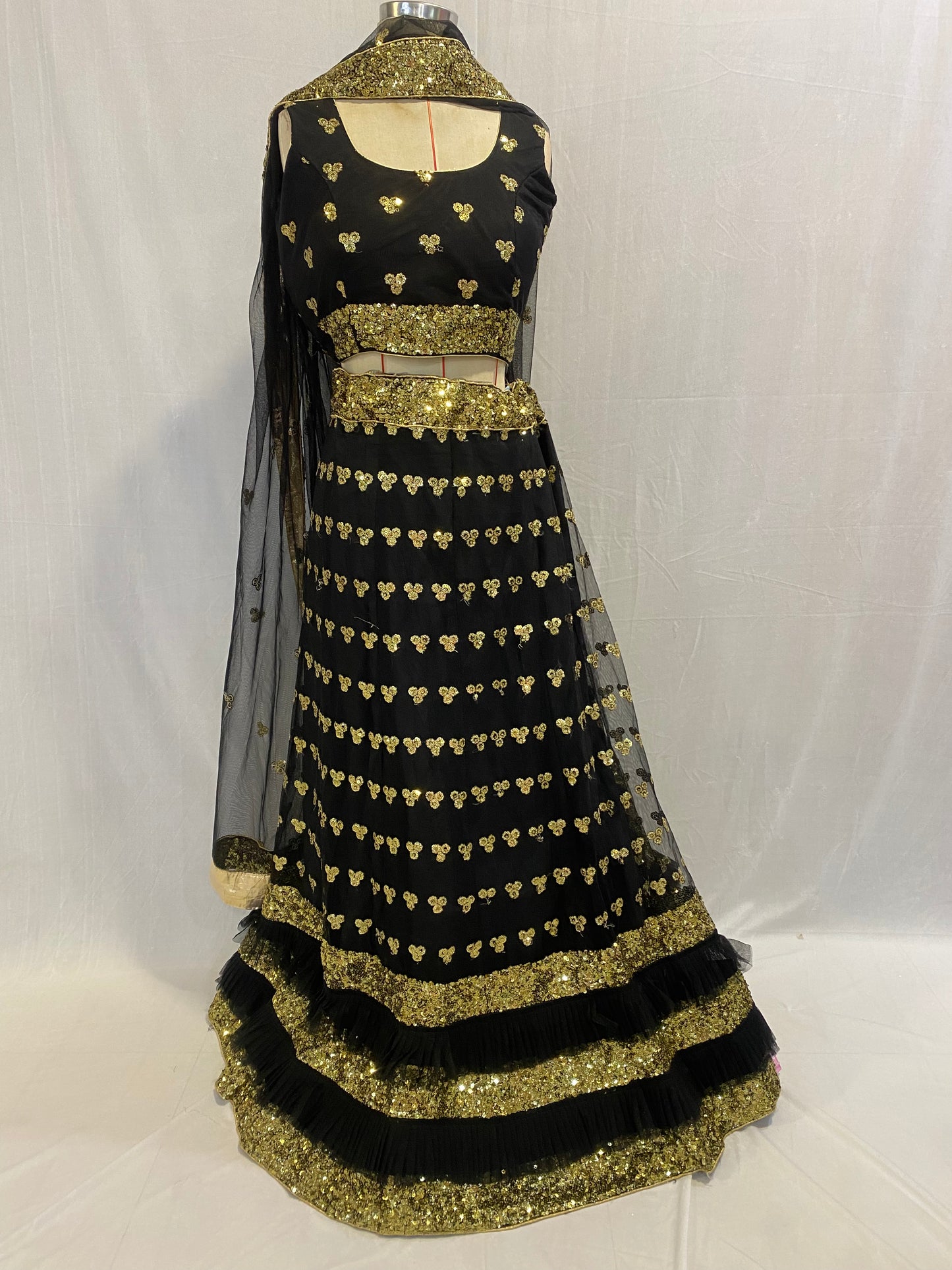 Ghagra Choli and Dupatta (Lahenga Blouse)