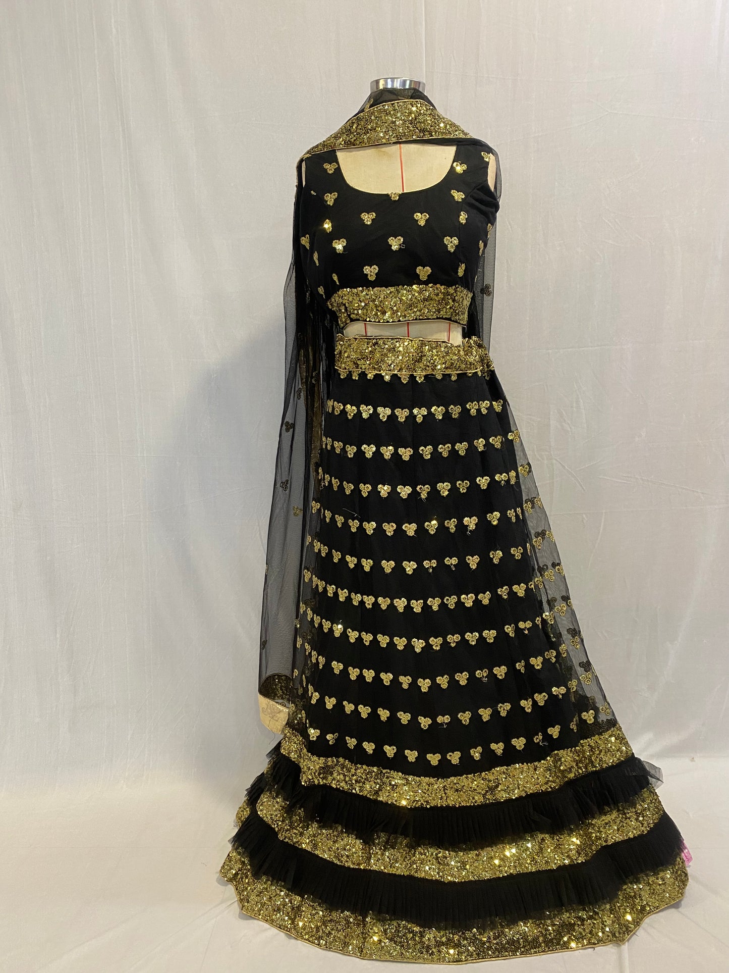 Ghagra Choli and Dupatta (Lahenga Blouse)