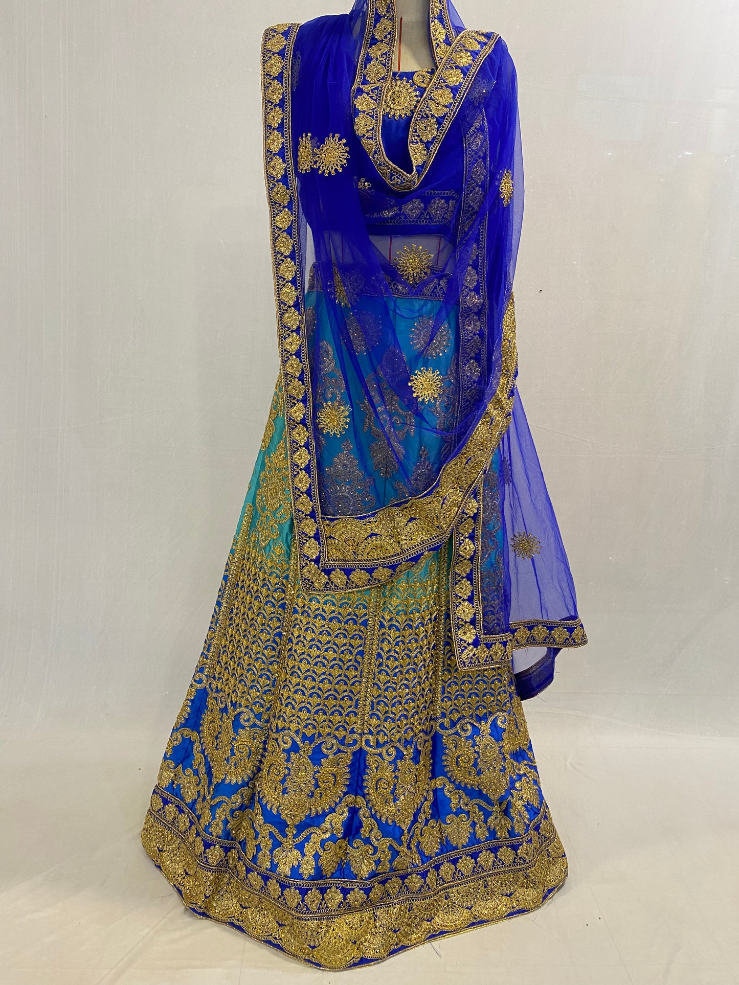 Party Wear Ghagra Choli Dress