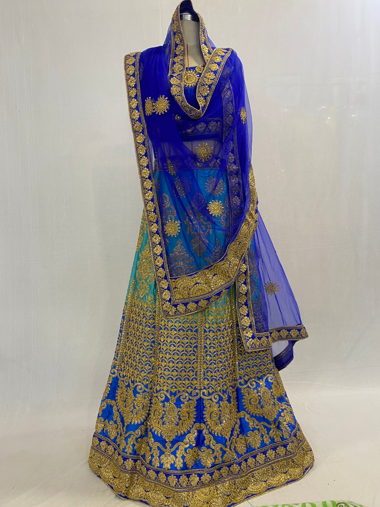 Party Wear Ghagra Choli Dress