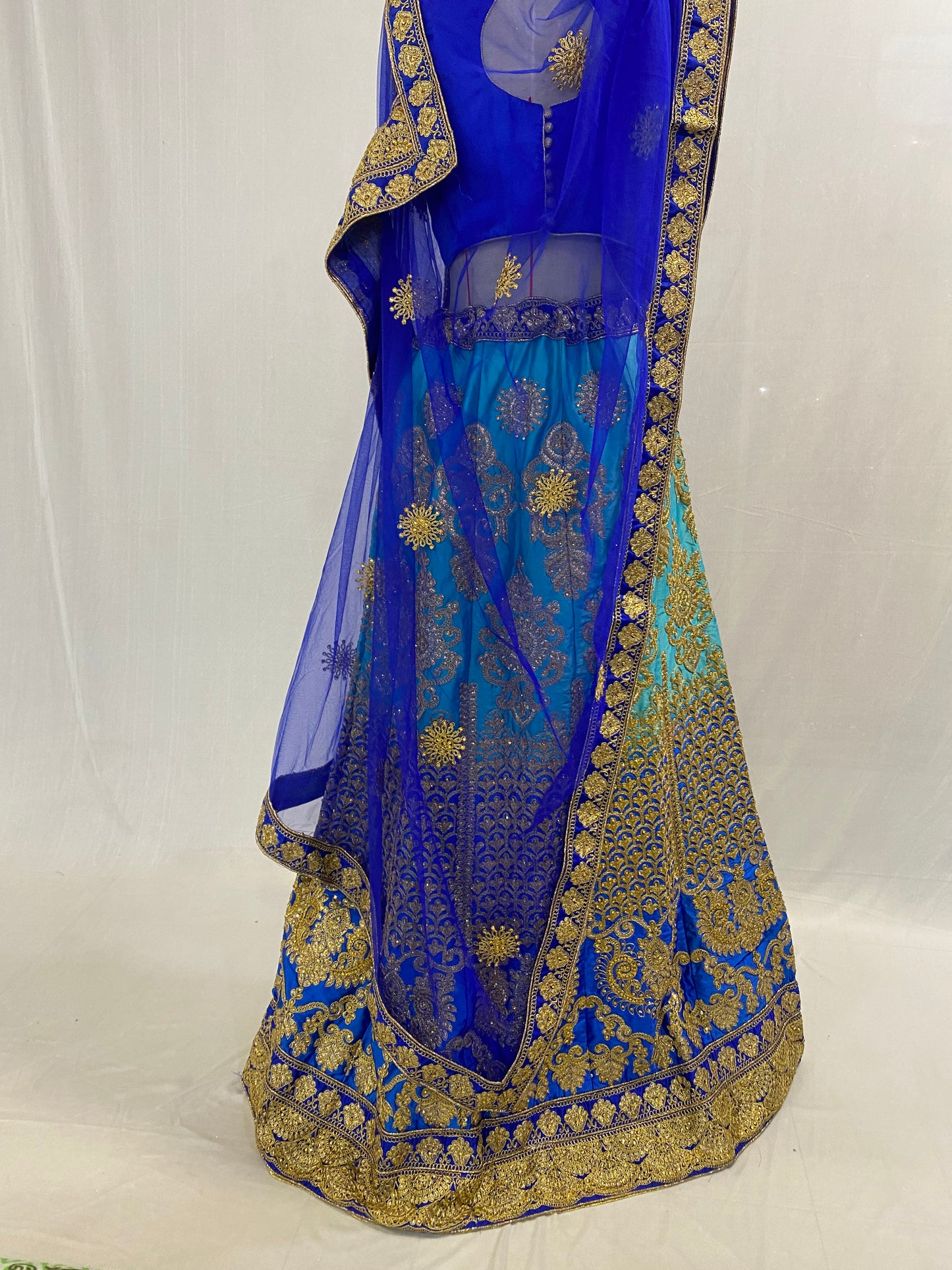 Party Wear Ghagra Choli Dress