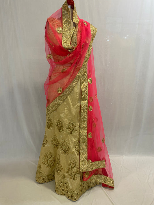 Party Wear Ghagra Choli Dress