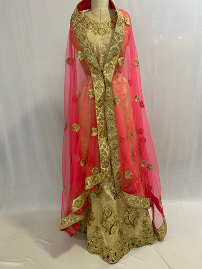 Party Wear Ghagra Choli Dress