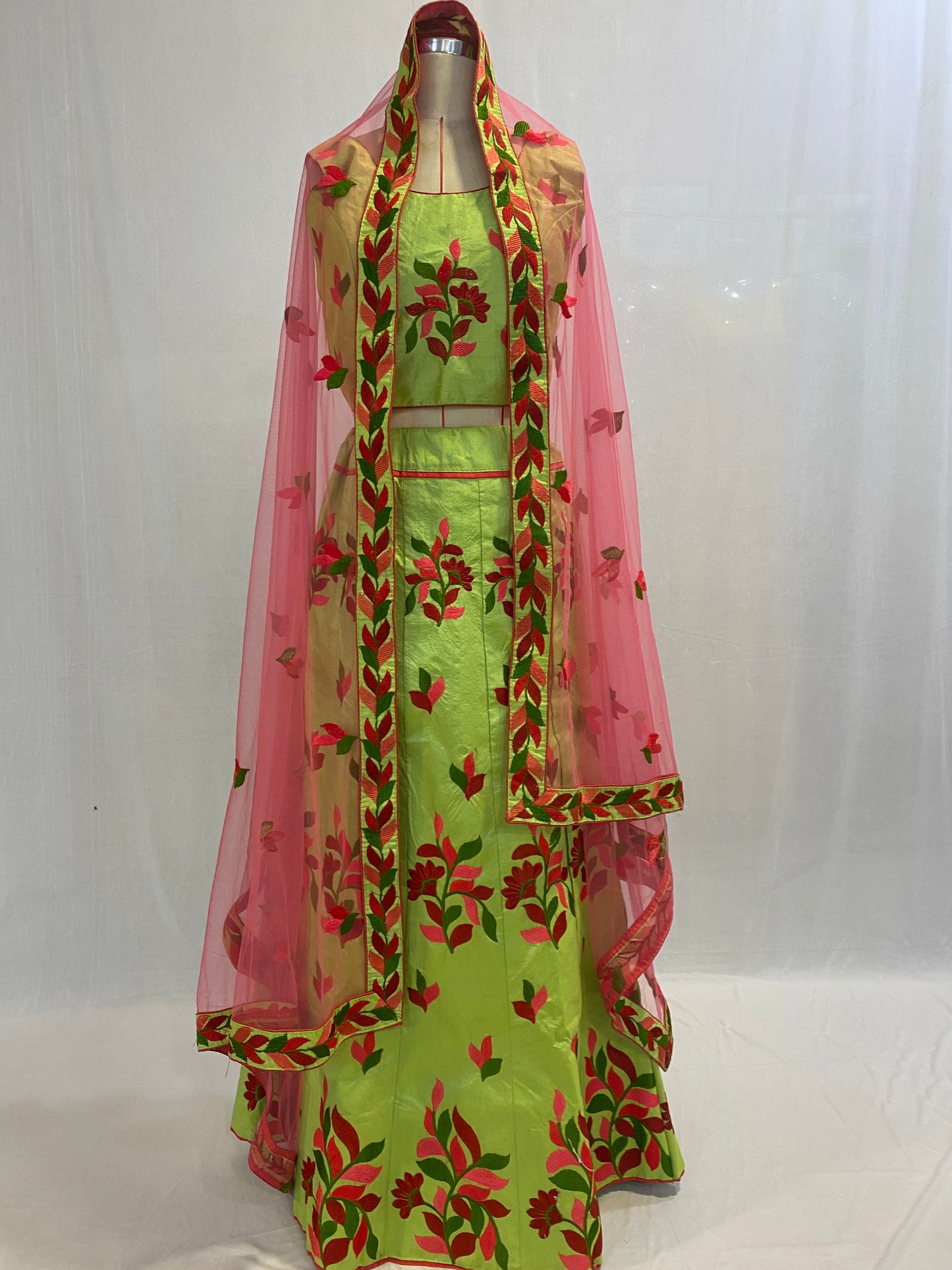 Party Wear Ghagra Choli Dress