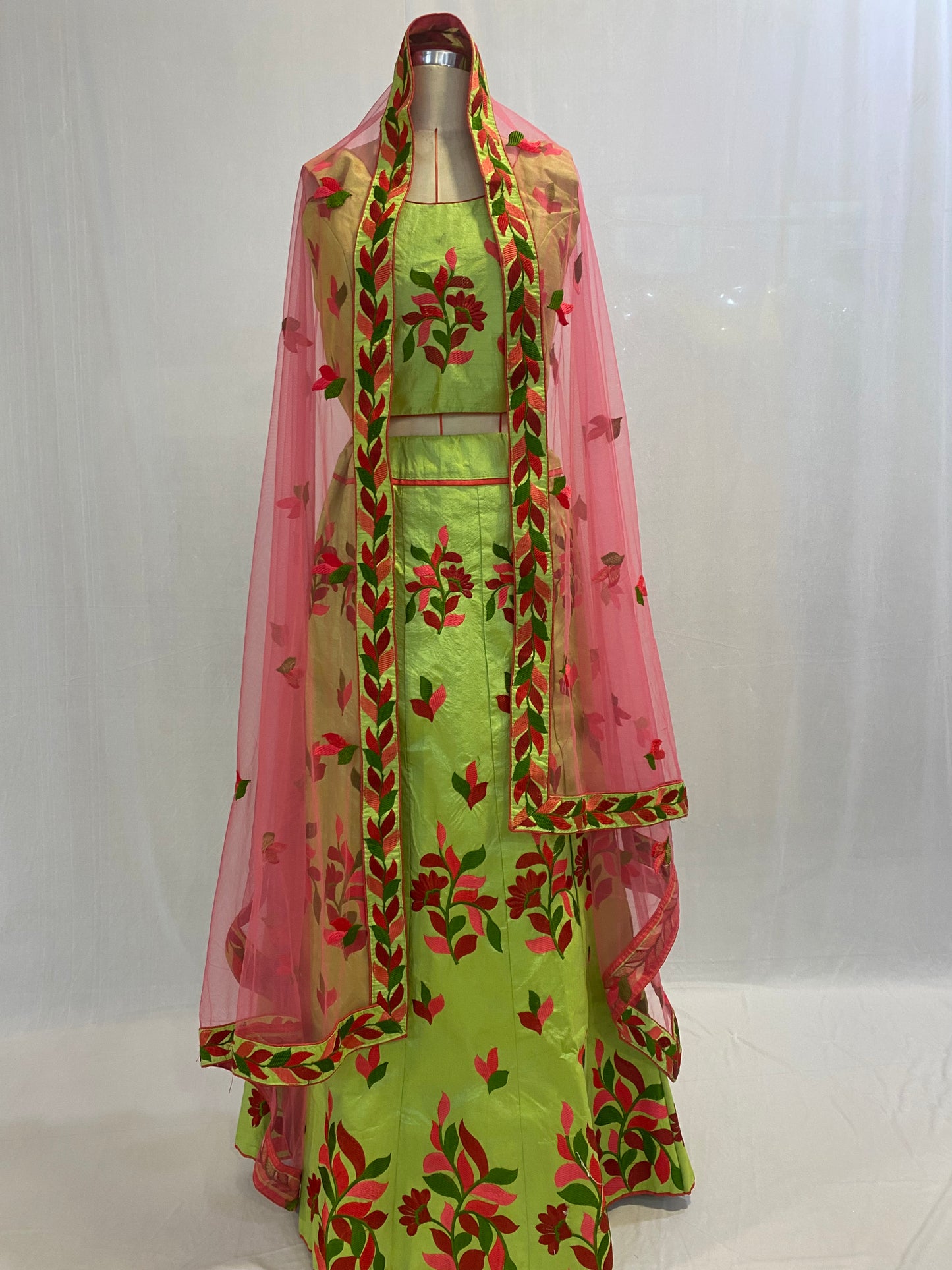 Party Wear Ghagra Choli Dress